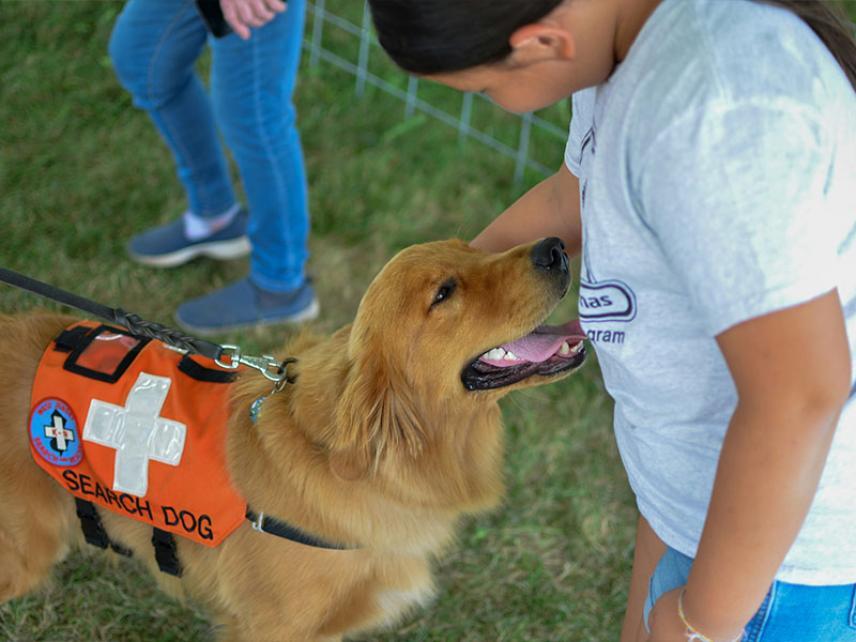 Profesiones Caninas – Perros al Servicio de los Humanos