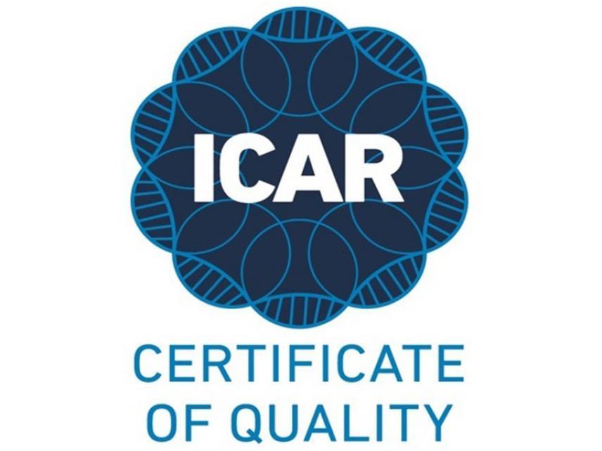 Is animal marking safe?