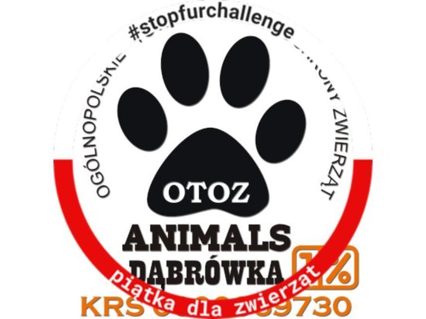 OTOZ ANIMALS Schronisko dla Bezdomnych Zwierząt w Dąbrówce k. Wejherowa