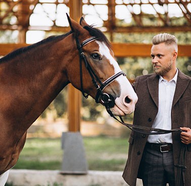 Pet graphic – WORLDPETNET