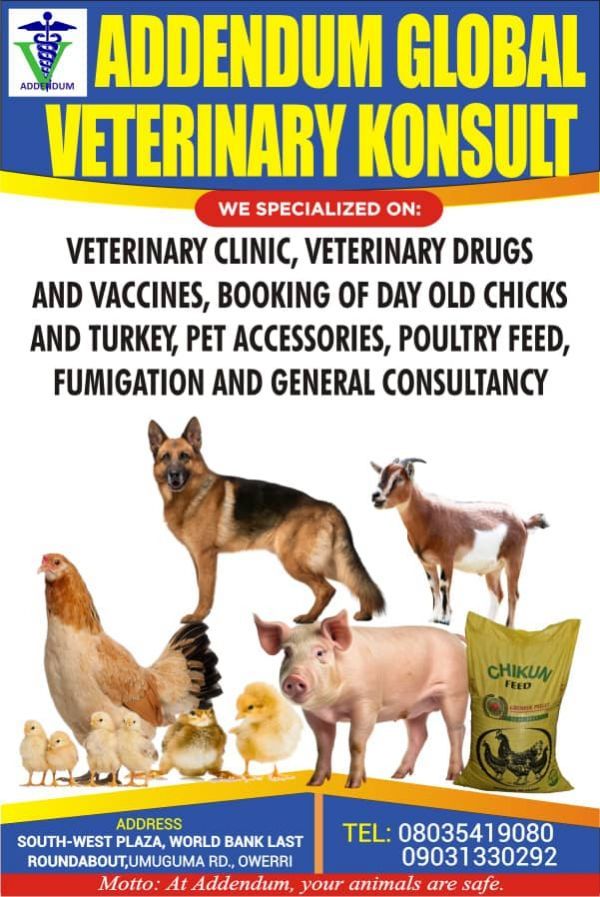 ADDENDUM GLOBAL VETERINARY KONSULT - Clinic logo – WORLDPETNET