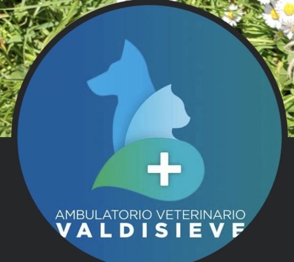 AMBULATORIO VETERINARIO VALDISIEVE - Logotipo de la clínica: WORLDPETNET