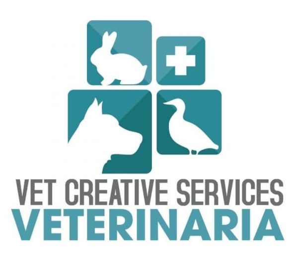 VET CREATIVE SERVICES - Logo lecznicy - WORLDPETNET