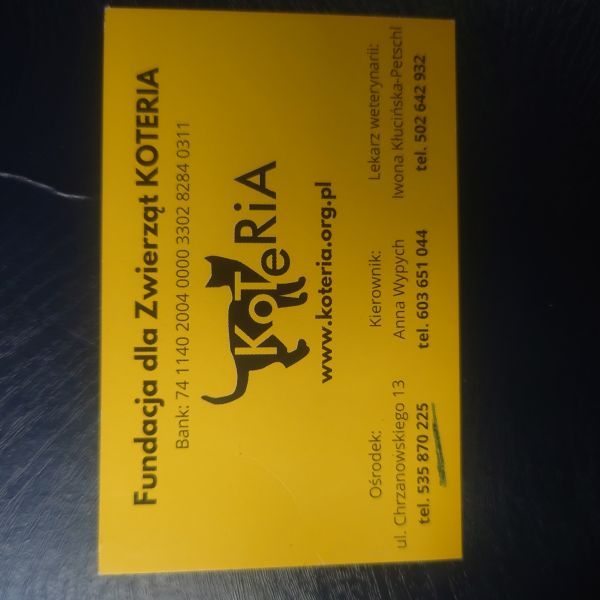 FUNDACJA KOTERIA - Clinic logo – WORLDPETNET