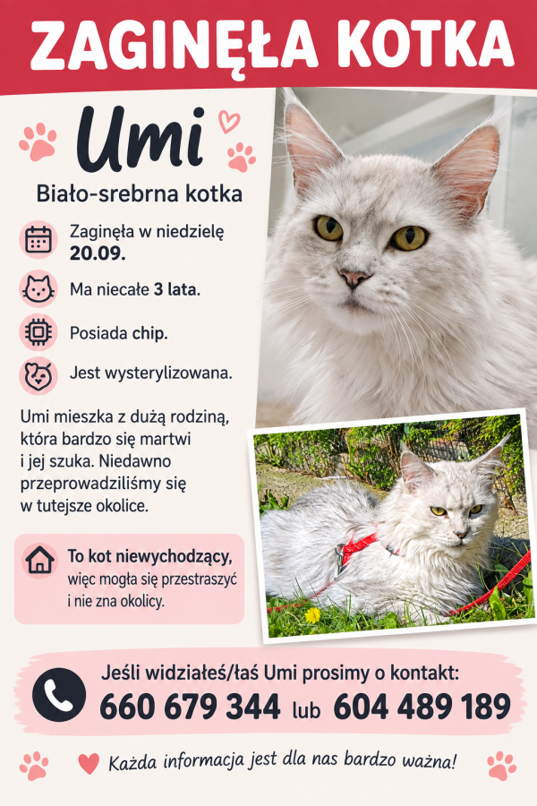 UMI - Photo de l&rsquo;animal perdu