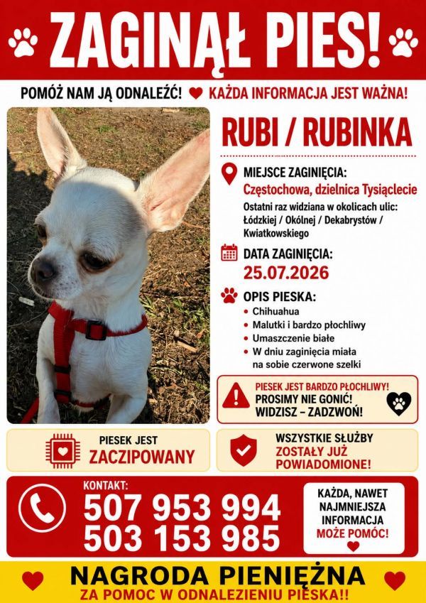 RUBINKA - Imagen del animal perdido