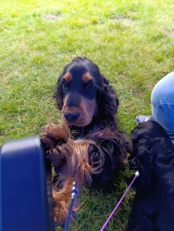 WAFEL (EKLER) Z PRZYŁĘKU