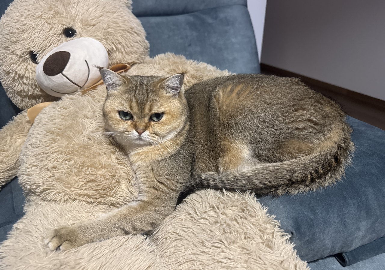 Mija alt.animals.promo #16