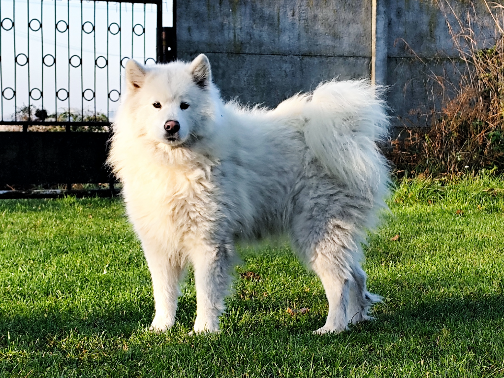 Baby alt.animals.promo #16