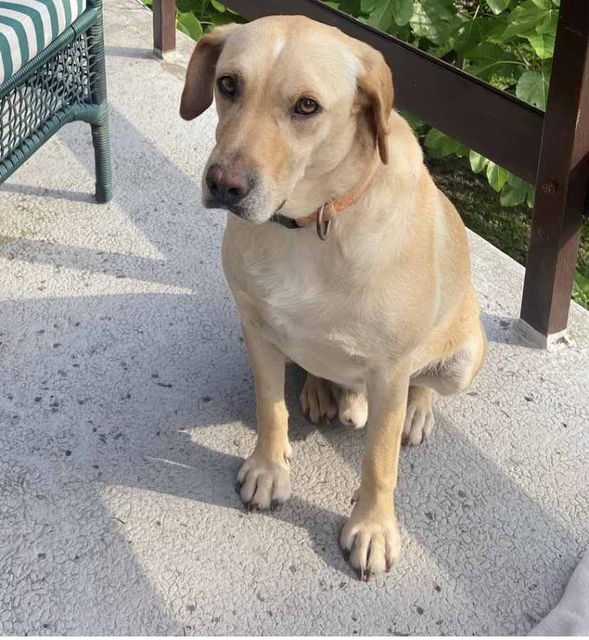 Richi alt.animals.promo #16