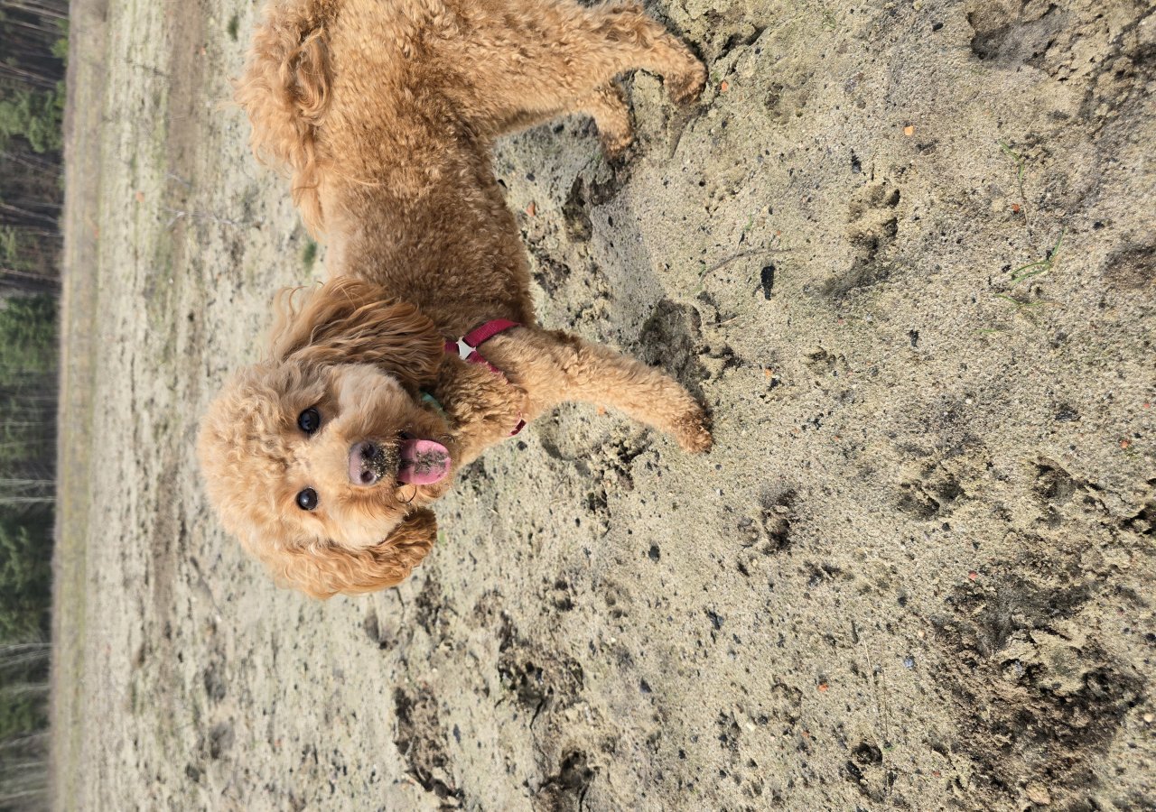 Megi alt.animals.promo #16