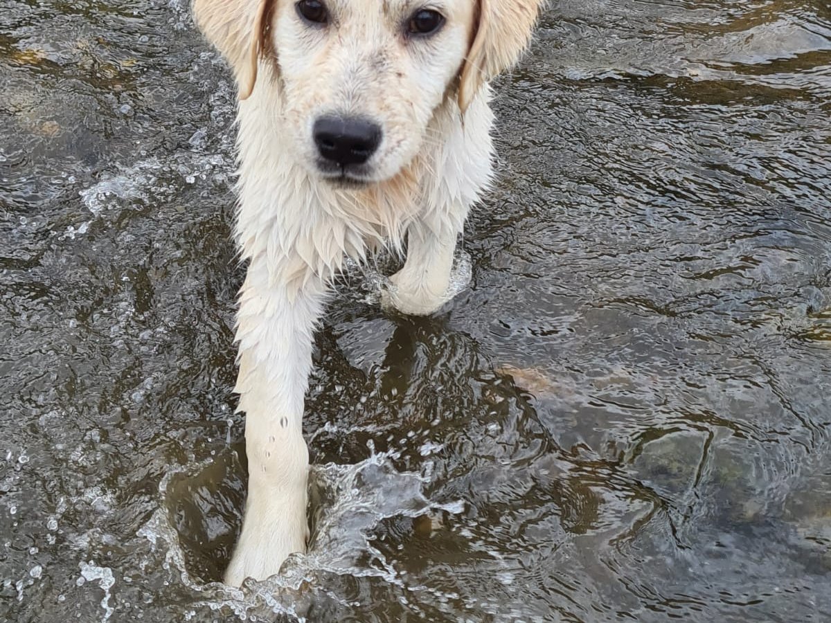 Luna alt.animals.promo #16