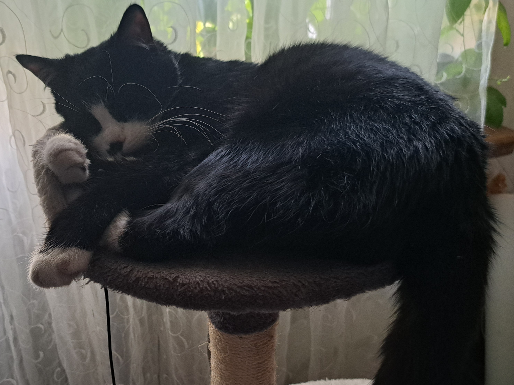 Ensi alt.animals.promo #16