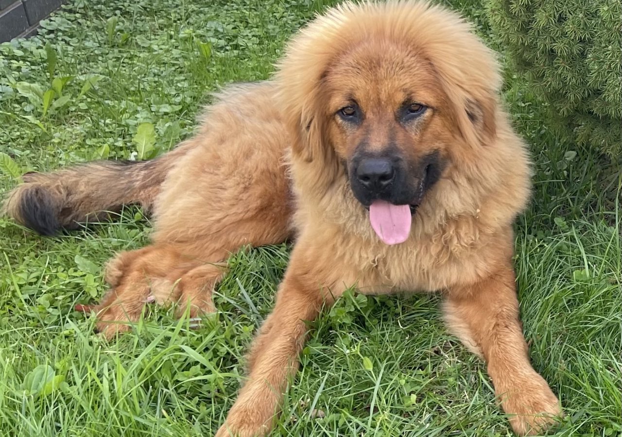 Mia 05.01.2024 alt.animals.promo #16