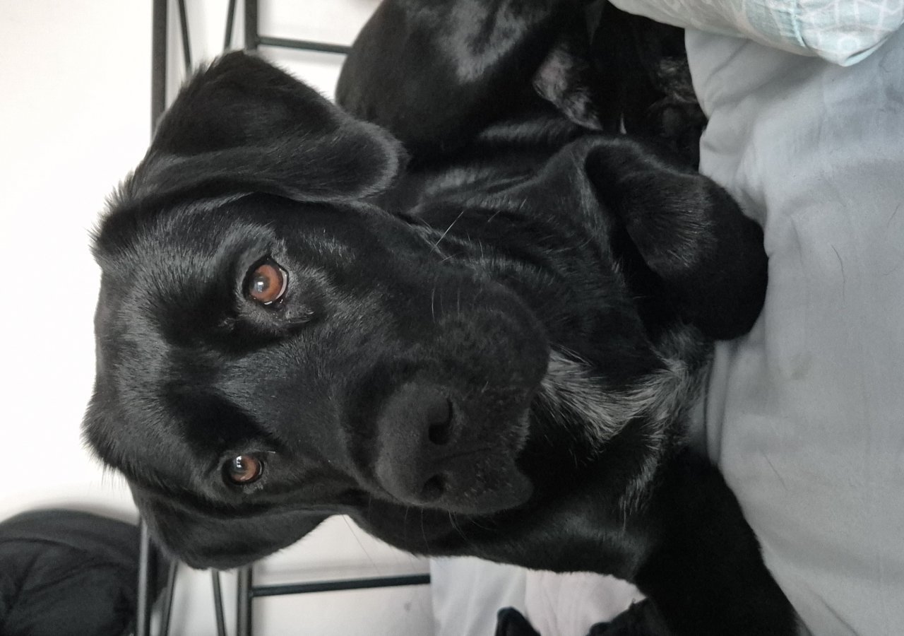 Zeus alt.animals.promo #16