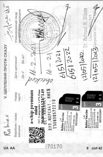 Mocci - Pet logo – WORLDPETNET #17