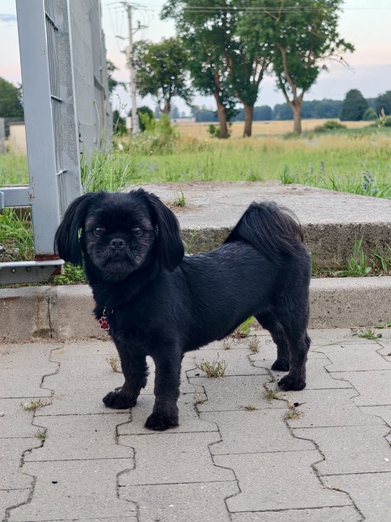 Lara alt.animals.promo #16