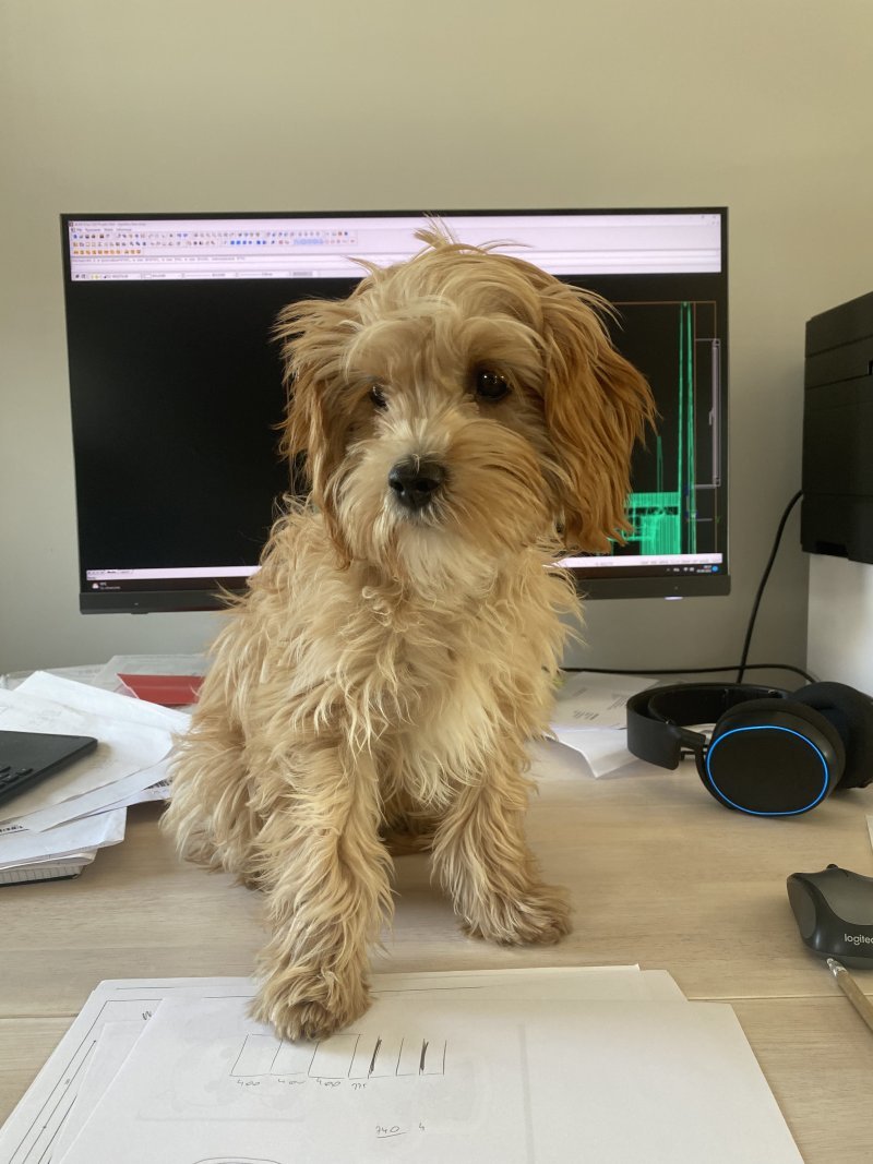 Zoe alt.animals.promo #16