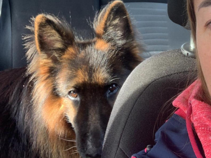 Dzango alt.animals.promo #16