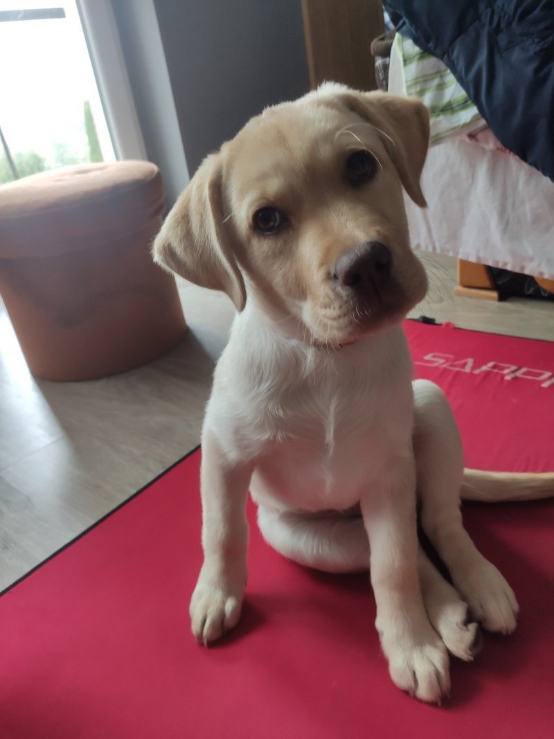 Mia alt.animals.promo #16