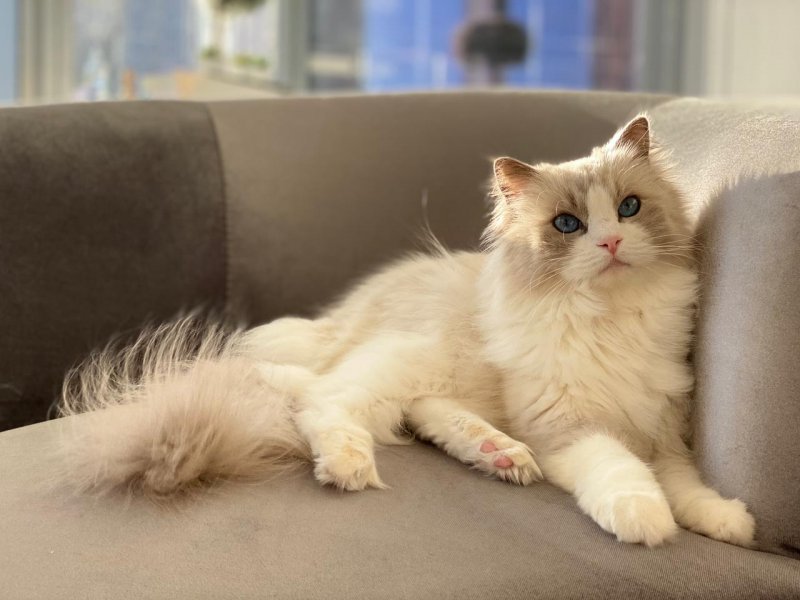 BETTINA alt.animals.promo #16