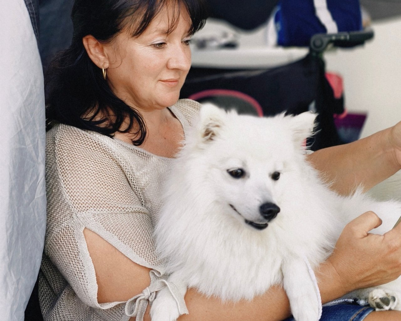 ACTIVE TEAM FCI - Hodowle ps&oacute;w i kot&oacute;w logo - WORLDPETNET #13