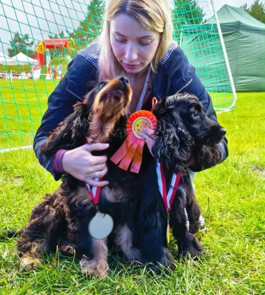 COLORFUL DOGS - Breeding centres logo – WORLDPETNET #13