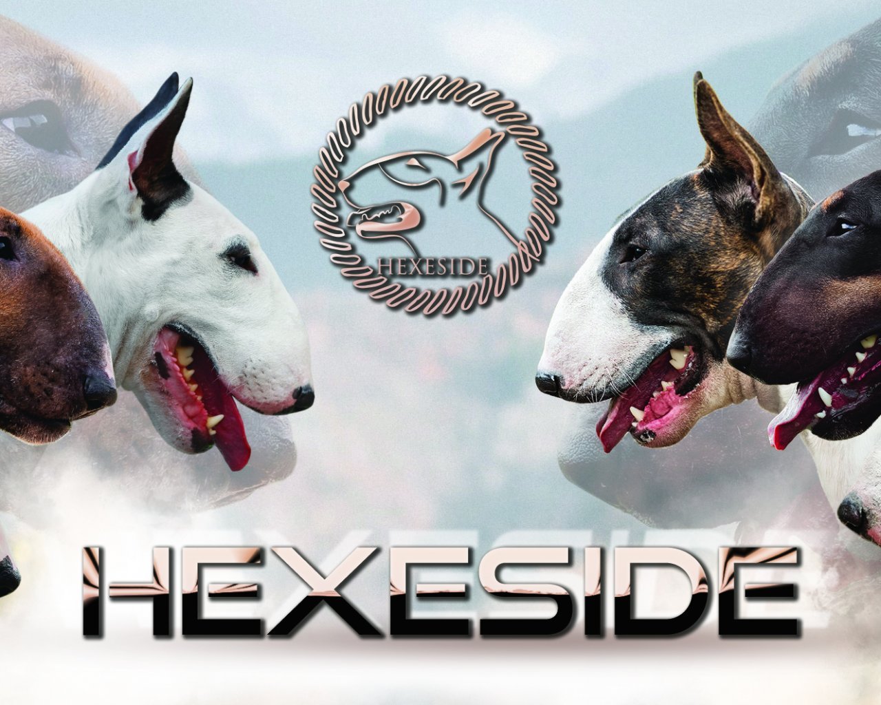 HEXESIDE FCI  Promowane hodowle - WORLDPETNET #12