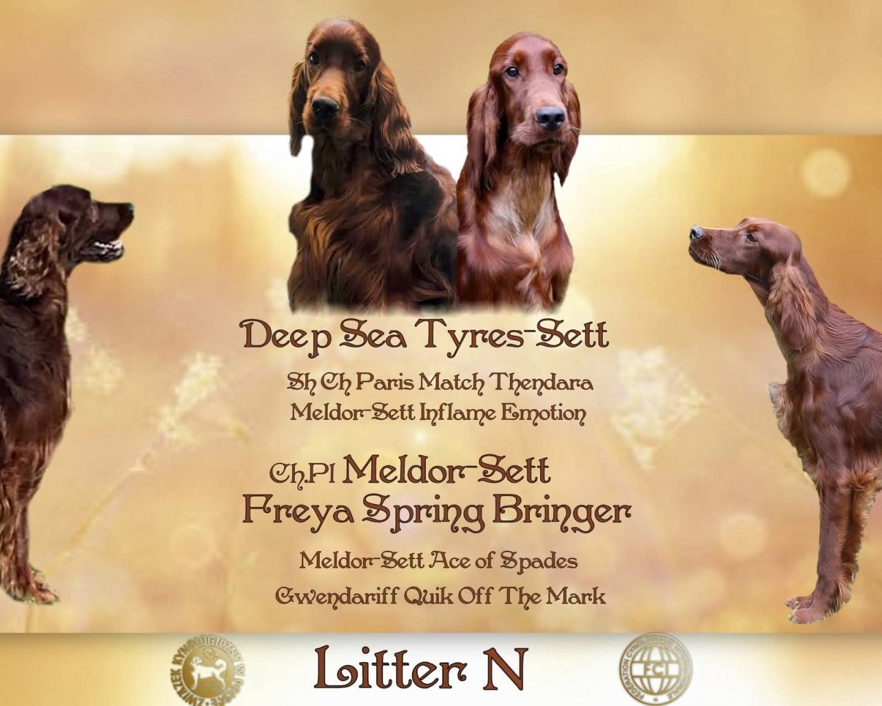 MELDOR-SETT FCI - &Eacute;levages logo&ndash; WORLDPETNET #14