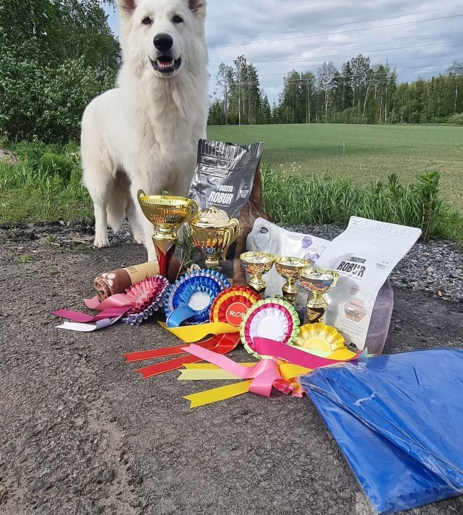 ROYAL WHITE WOLVES Promoted breeding centres – WORLDPETNET #12