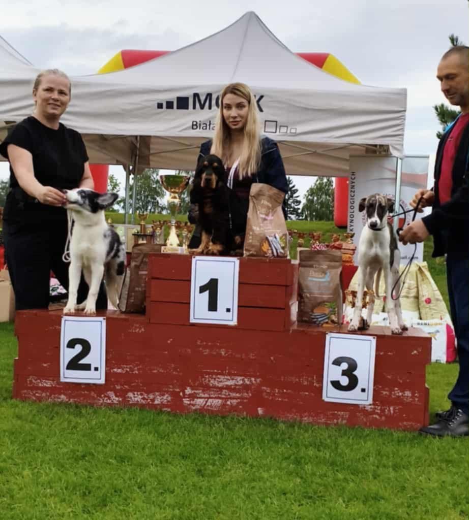 COLORFUL DOGS - Breeding centres logo – WORLDPETNET #14