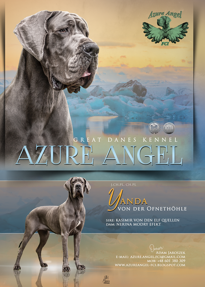 AZURE ANGEL - Breeding centres logo – WORLDPETNET #14