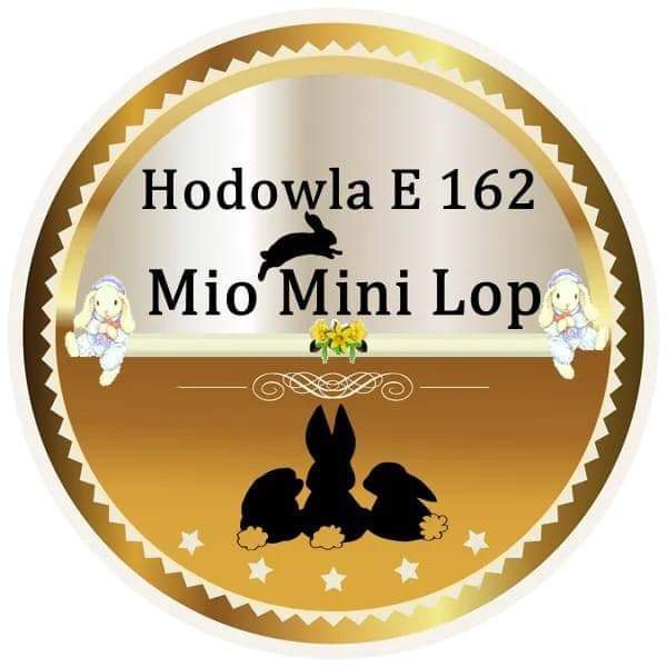 MIO MINI LOP  - Breeding centres logo – WORLDPETNET #13