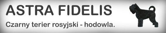 ASTRA FIDELIS FCI - Hodowle logo - WORLDPETNET #13
