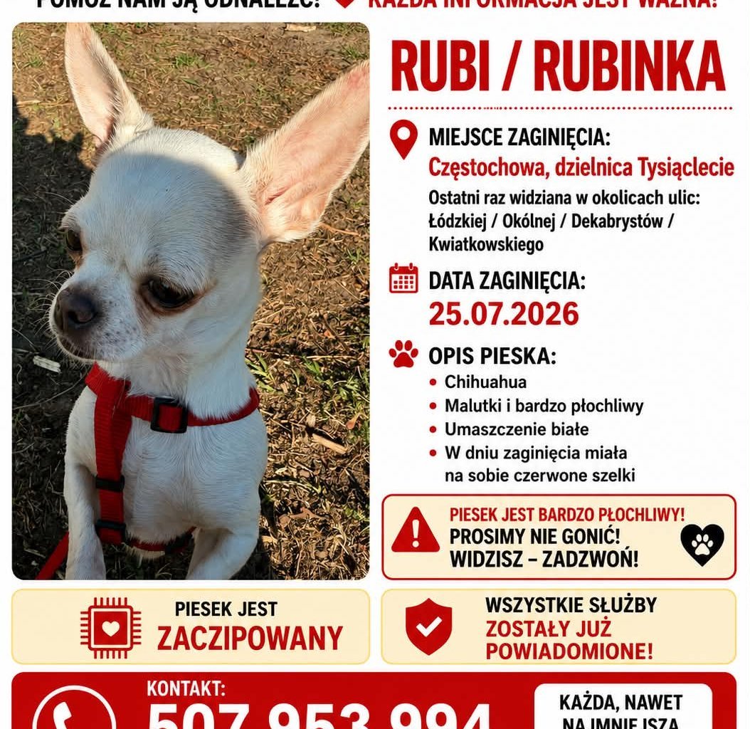 RUBINKA Foto des vermissten Tieres #11