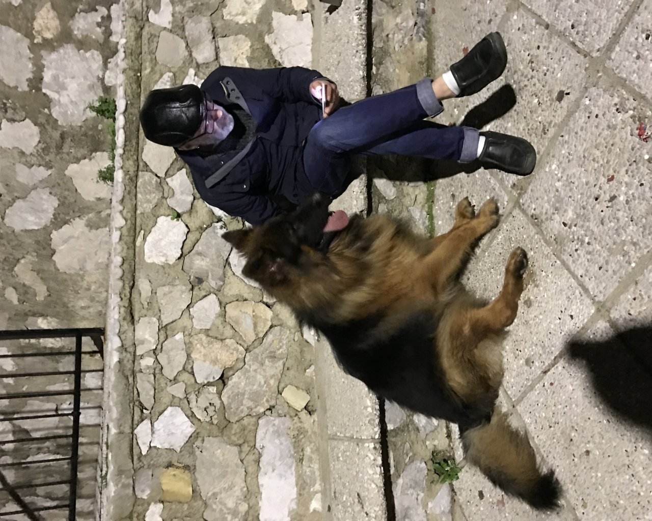 PASCOE - alt.lostpet.logo #12