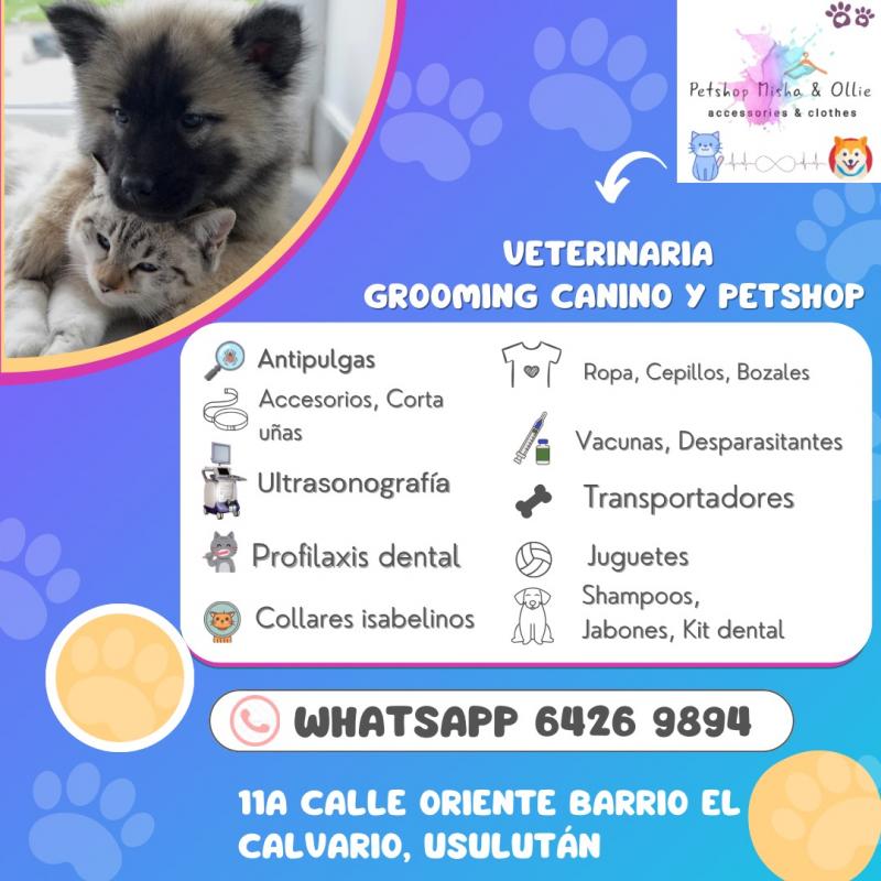 Promoted clinics – WORLDPETNET