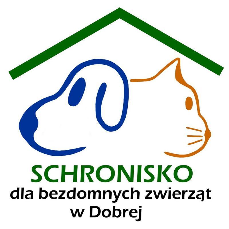 SCHRONISKO DLA BEZDOMNYCH ZWIERZĄT W DOBREJ - refuge-pour-animaux-worldpetnet - #15