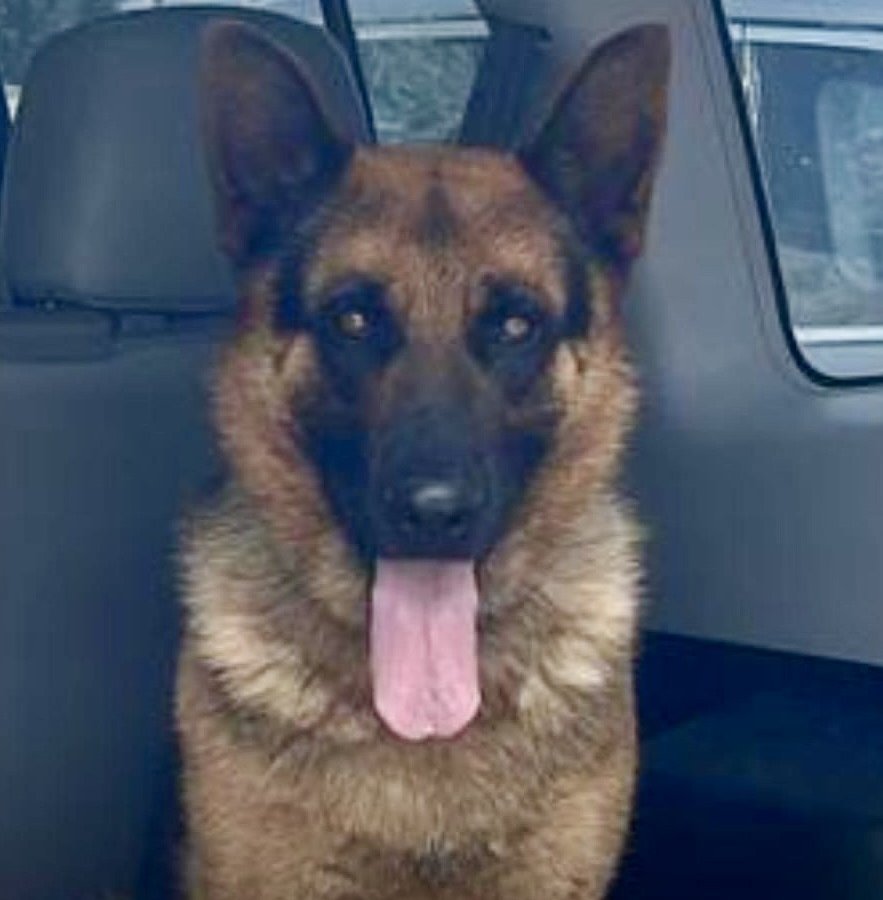 Ciro alt.animals.promo #16