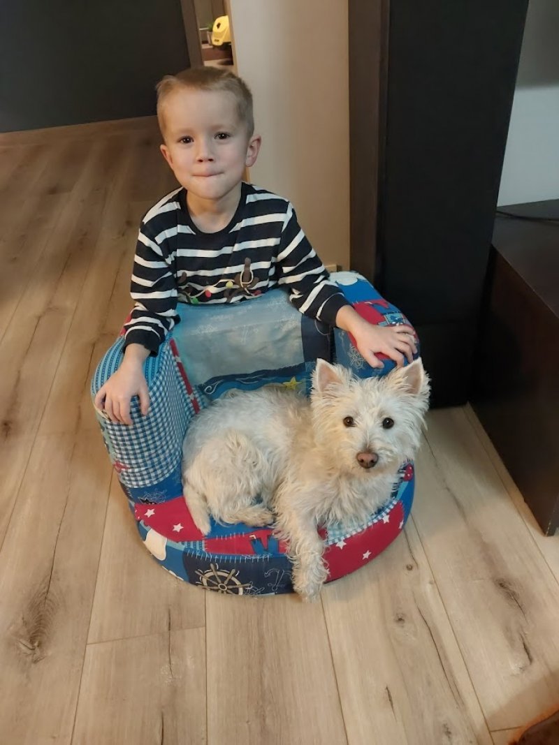 Heidi alt.animals.promo #16