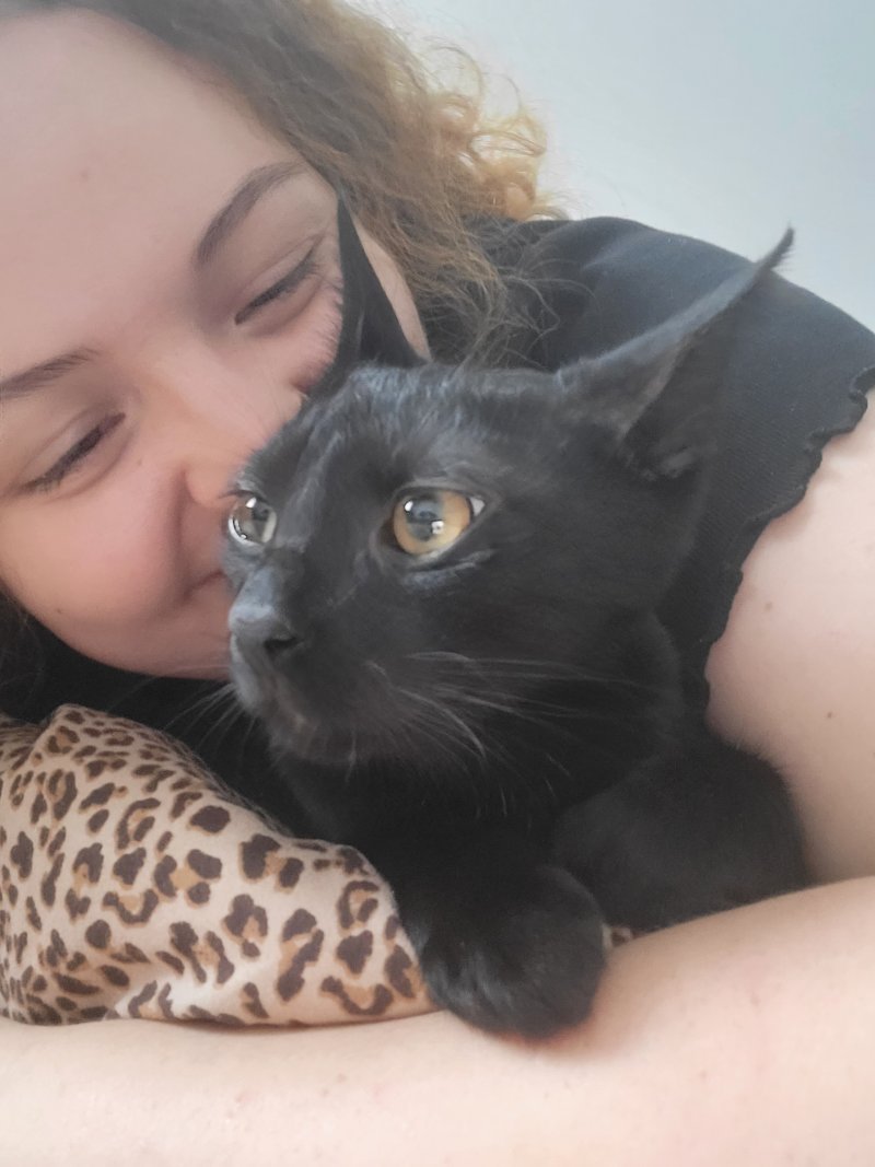 Leon - Pet logo &ndash; WORLDPETNET #17