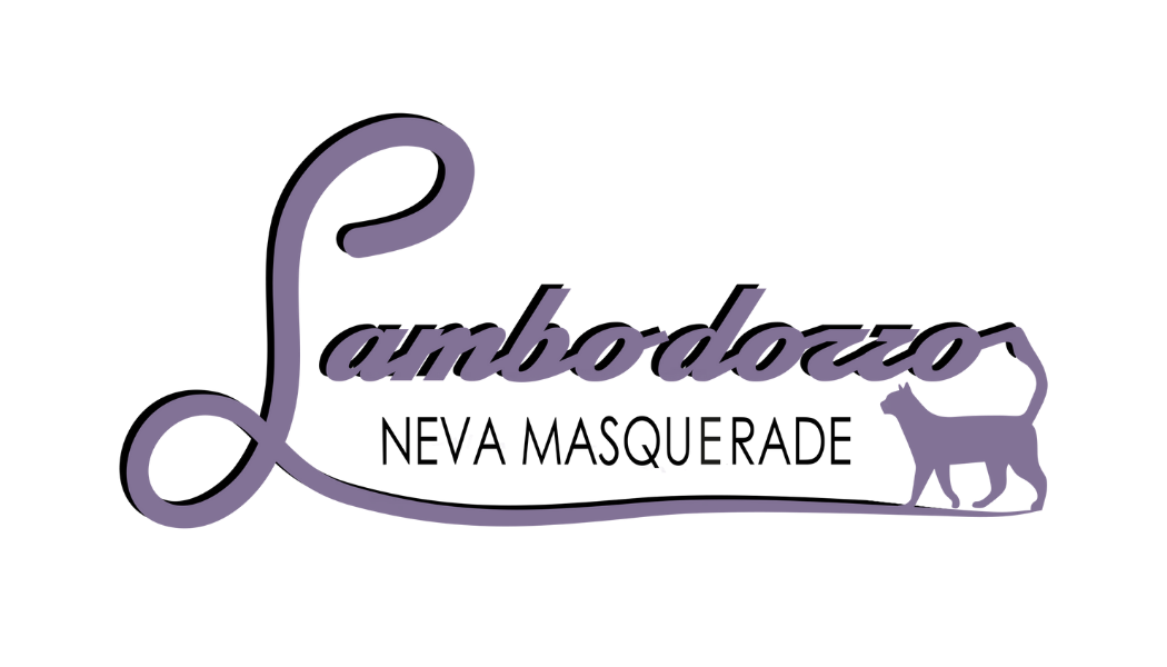 LAMBODORRO*PL Promowane hodowle - WORLDPETNET #12