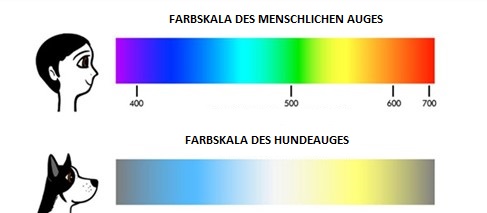 Fakten und Mythen über Hunde und Katzen - worldpetnet