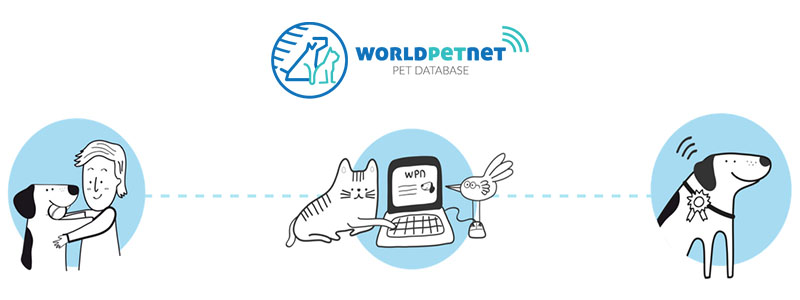 Baza zwierząt DATABASE