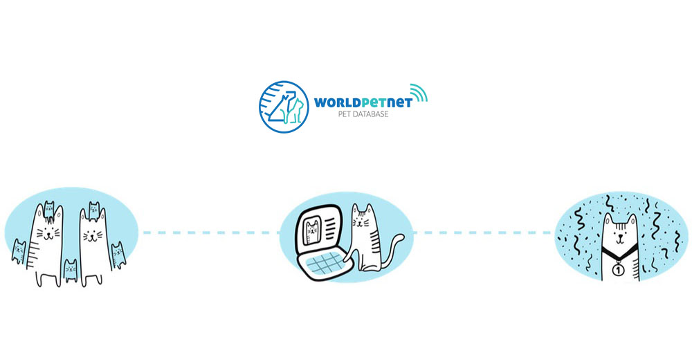 HODOWLA PSY KOTY cats dogs breeding