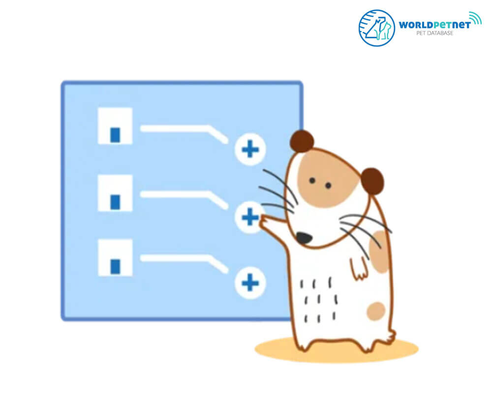 Lecznice CLINIC Veterinary DOG CAT