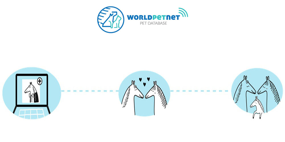 Reproduktor PIES DOG CAT KOT SIRES