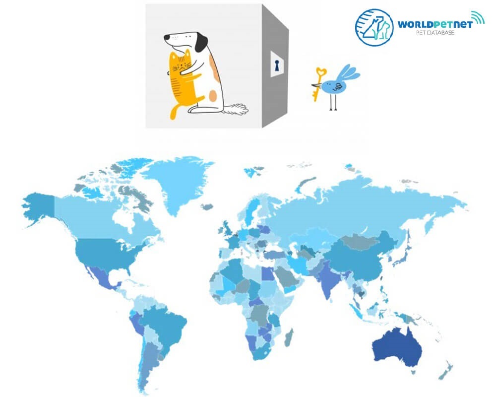 Schronisko Shelter DOG PIES CAT